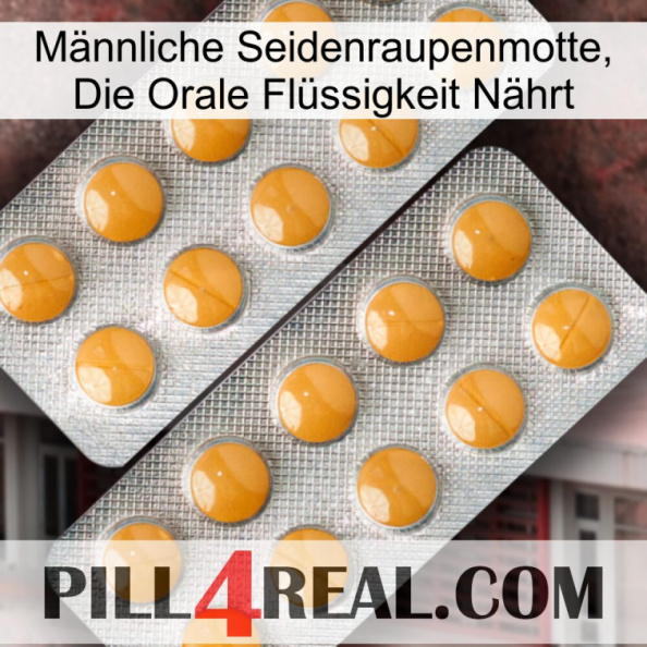 Männliche Seidenraupenmotte, Die Orale Flüssigkeit Nährt levitra2.jpg